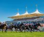 Galloping ahead: tickets now on sale for Qatar Goodwood Festival