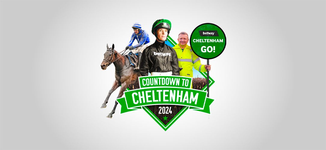 Watch: Cheltenham