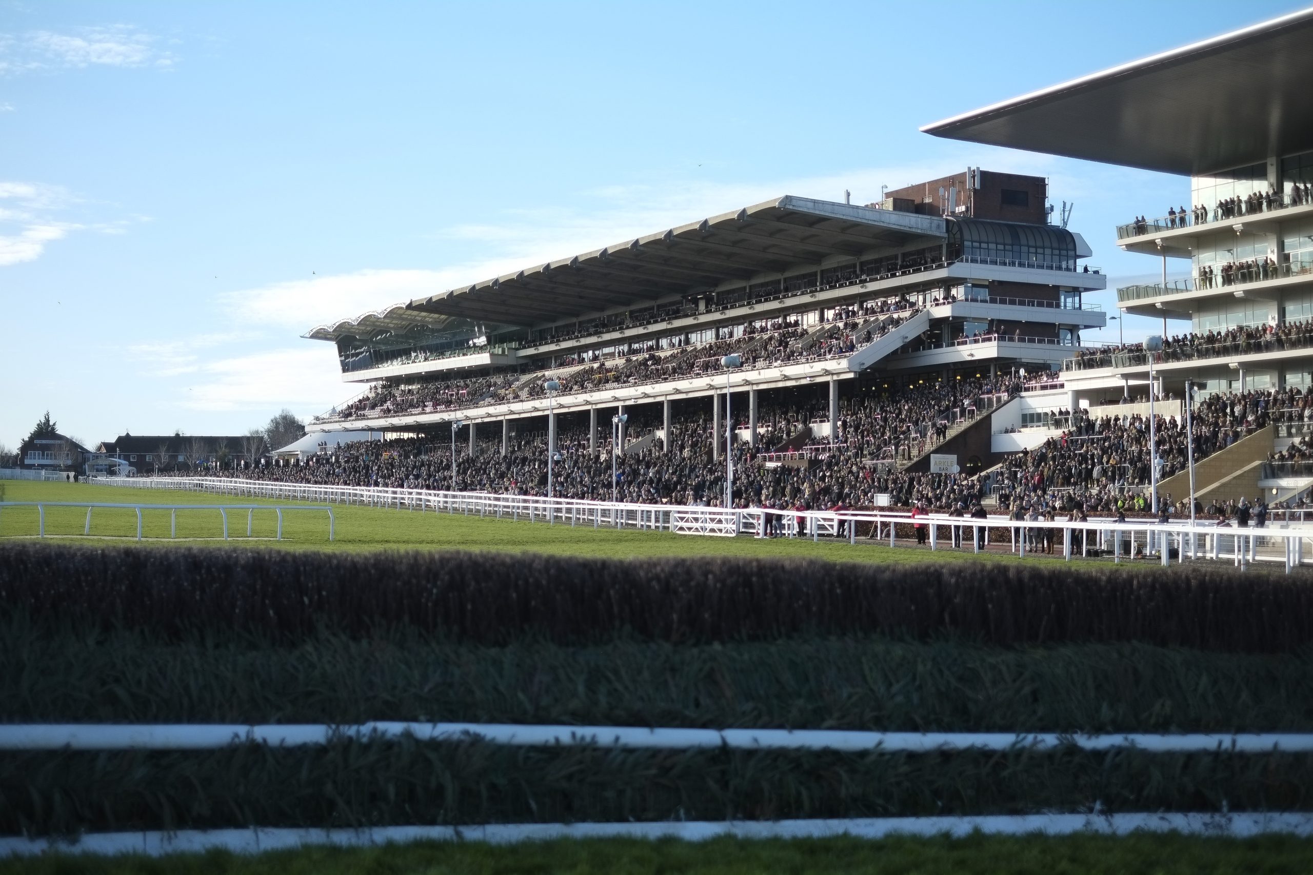 Cheltenham Races