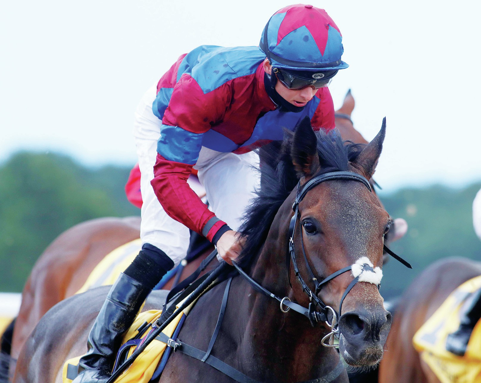 Preview+and+tips+for+big+races%3A+Northumberland+Plate+in+Newcastle