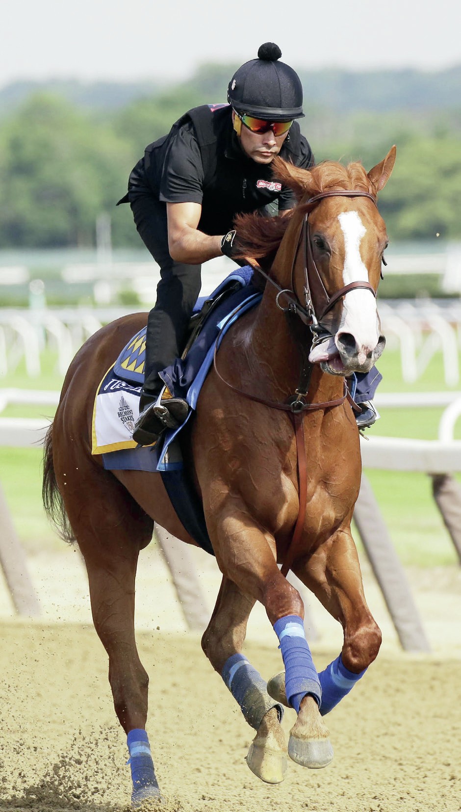 JUSTIFY LEGEND’S