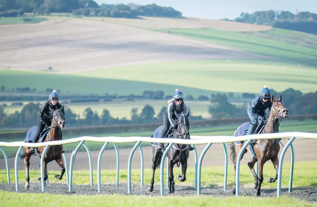 DOWN LAMBOURN